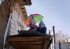 ''Высоко сижу далеко гляжу'', Батырова Анастасия, Пермский край,  г.Оса